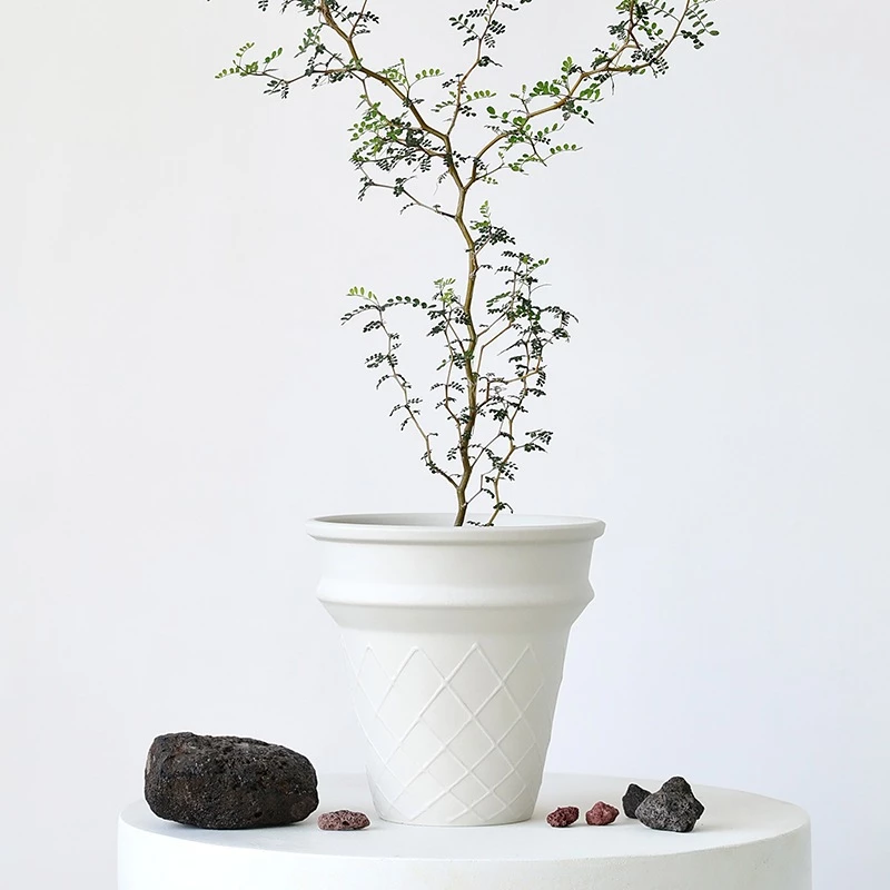 Chậu gốm Bắc Âu – dáng kem ốc quế
