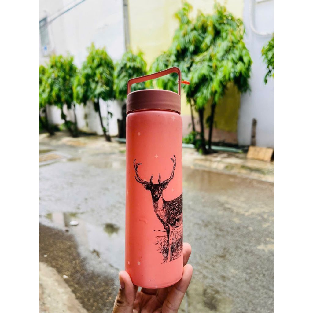Bình thủy tinh 330ml siêu Cute cho bé. HKM