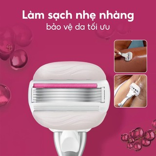 Lưỡi dao thay thế Gillette Venus Comfortglide Olay Sugarberry (Set 4 cái)