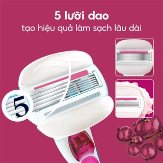 Lưỡi dao thay thế Gillette Venus Comfortglide Olay Sugarberry (Set 4 cái)
