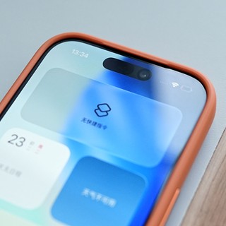 Ốp Lưng Nhám Mờ Likgus Tuan Mag Cho iPhone 17 Pro Max Vòng Từ Tính