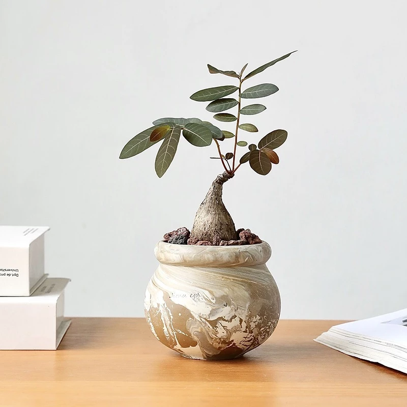 Chậu Gốm Tròn Mini Thủ Công – Phong cách Bắc Âu