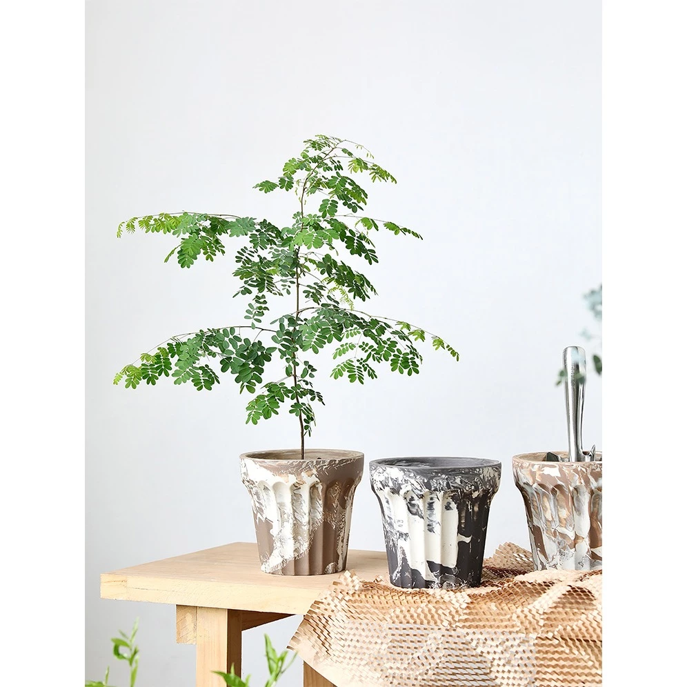 Chậu Gốm Thủ Công Vân Tự Nhiên