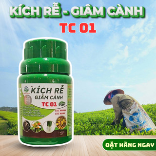 KÍCH RỄ, GIÂM CÀNH TC01 - CHUYÊN DÙNG CHO MAI VÀNG, CÂY CẢNH, BONSAI, RAU MÀU VÀ CÁC LOẠI CÂY CÔNG NGHIỆP (100ML)