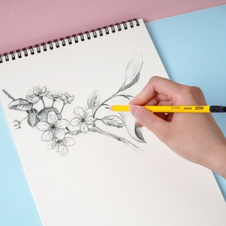 Hộp 12 Bút Chì Gỗ 2B Cao Cấp Có Tẩy MONDEZ Nét Bút Mịn Chì Mềm, Dùng Cho Bé Tập Viết Luyện Chữ