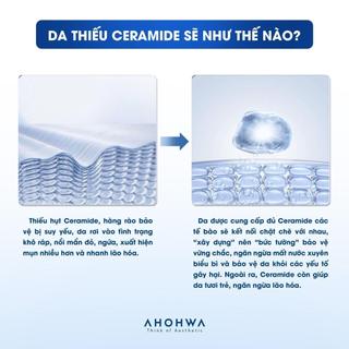 Ahohwa - Shinning Ceramide Water Cream - Kem dưỡng cấp nước cho da - 50gr/200gr