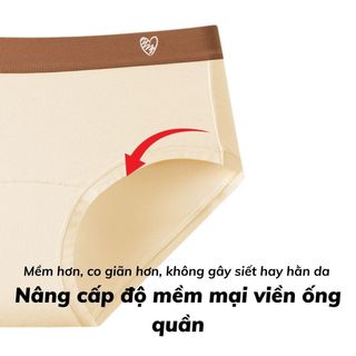 Quần lót nữ cao cấp cotton co giãn tốt đáy lót kháng khuẩn,Quần chip nữ cạp vừa tôn dáng DEVARI L183