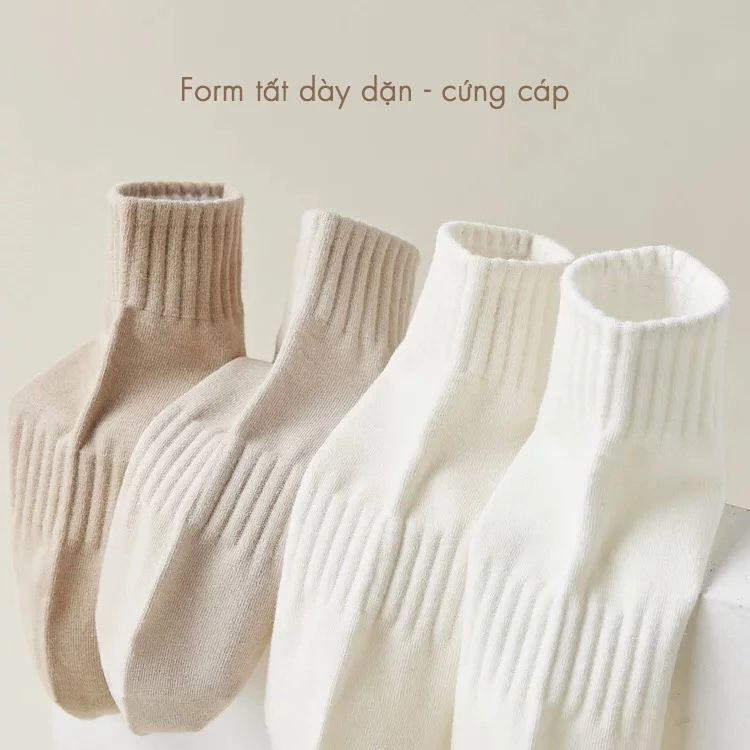 [Peinn] Tất cổ ngắn nữ nam chất vải cotton mềm mịn, vớ nữ basic unisex