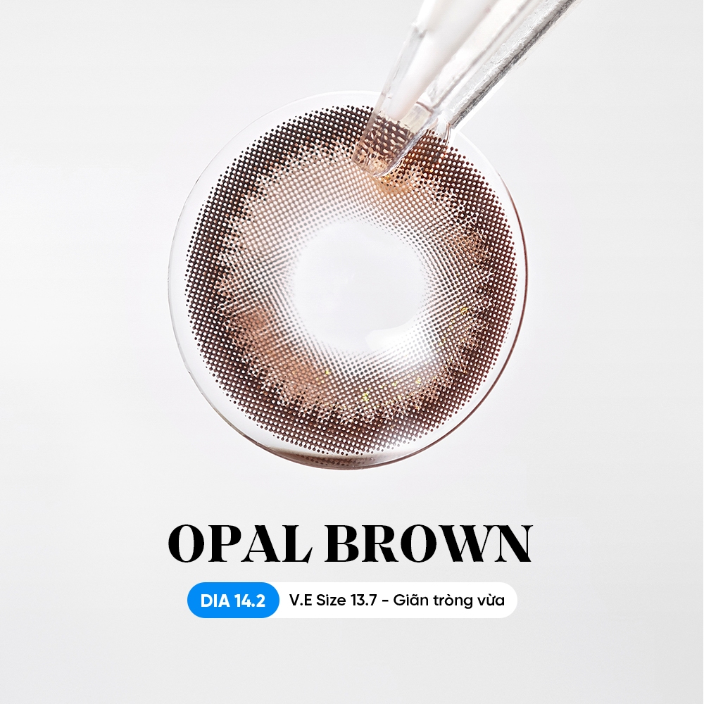 [1 chiếc] Kính áp tròng khoá ẩm 8H 1 Tháng Màu Nâu Cà Phê Sữa CARASE, Lens cận OPAL BROWN
