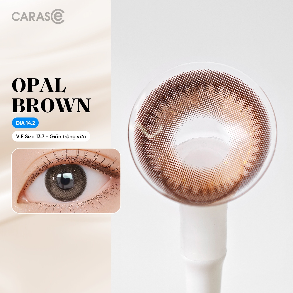 [1 chiếc] Kính áp tròng khoá ẩm 8H 1 Tháng Màu Nâu Cà Phê Sữa CARASE, Lens cận OPAL BROWN