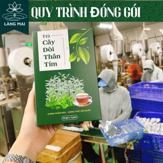 Trà Cây Dòi Thân Tím - Làng Mai - 4 Vị Thanh lọc cổ họng, sạch phổi, Tiêu đờm, an toàn lành tính.