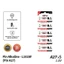 Pin A23 - A27 Hãng NP 12V Sử Dụng Máy Đo Huyết Áp, Cửa Cuốn, Smartkey Remote Xe, Thiết Bị Báo Động, Cảm Biến