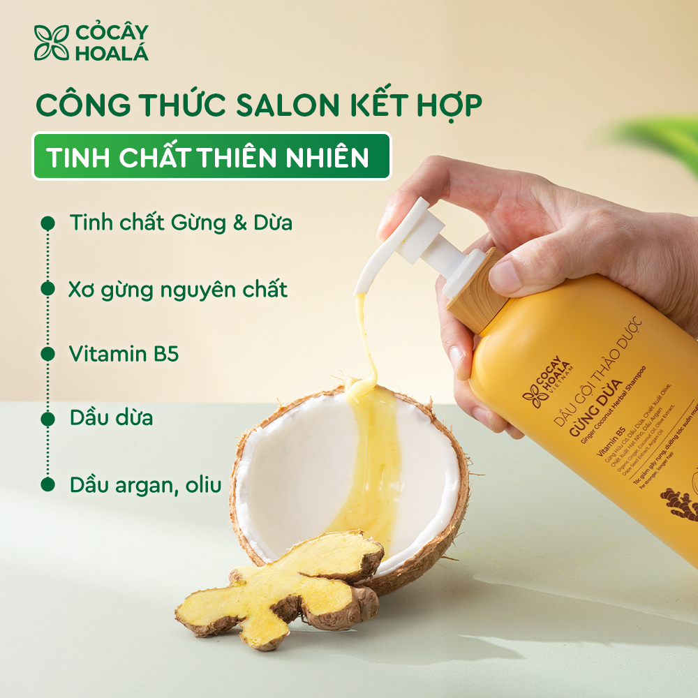 7.7 Combo Dầu Gội Xả Thảo Dược Gừng Dừa Cỏ Cây Hoa Lá - 650g/chai Tặng Kèm Túi Vải