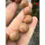 Vòng trầm hương tròn đơn nam Mộc Việt 16 mm năng lượng bình an và tự tin tỏa sáng