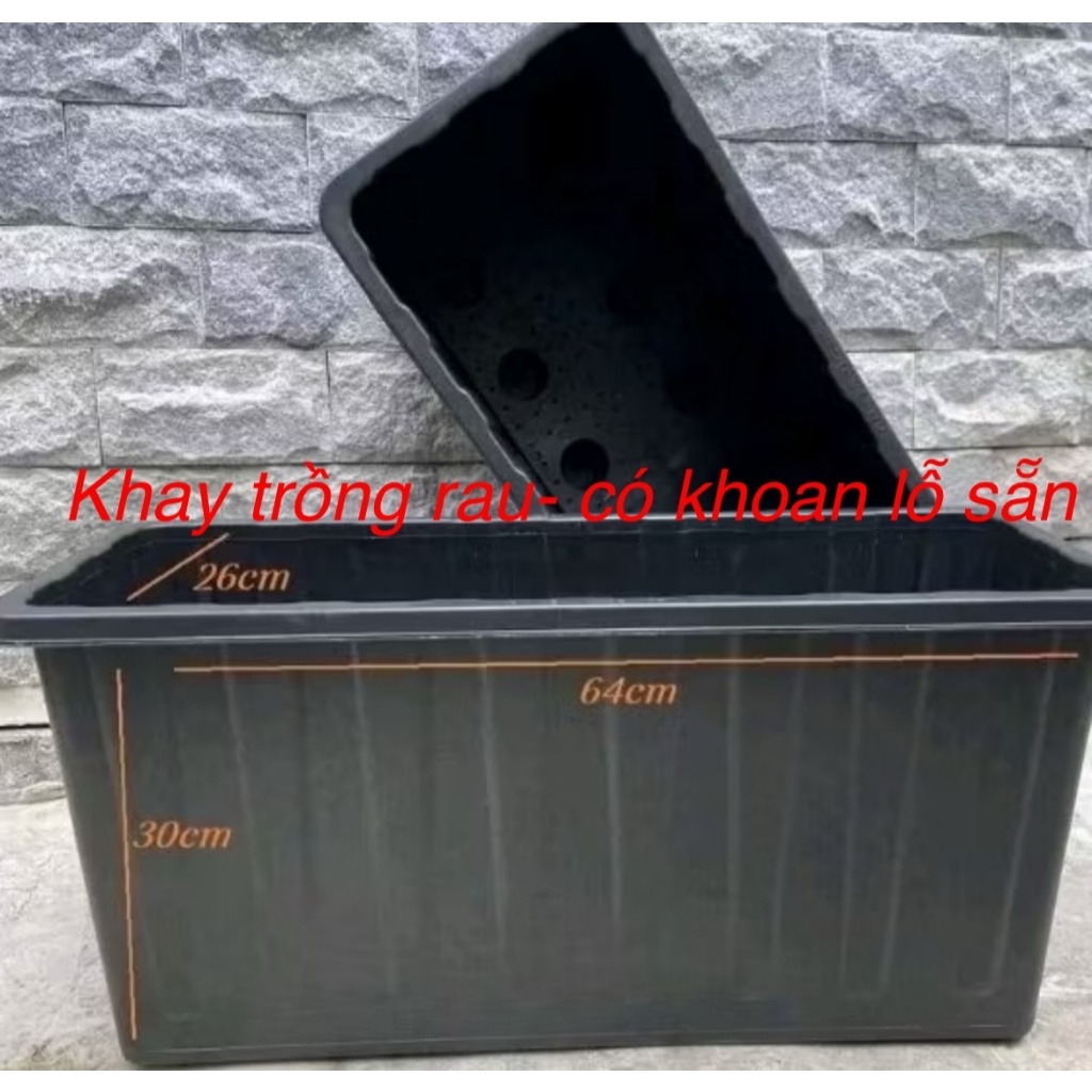 Khay trồng rau D64XR26XC30 dày đẹp | Shopee Việt Nam
