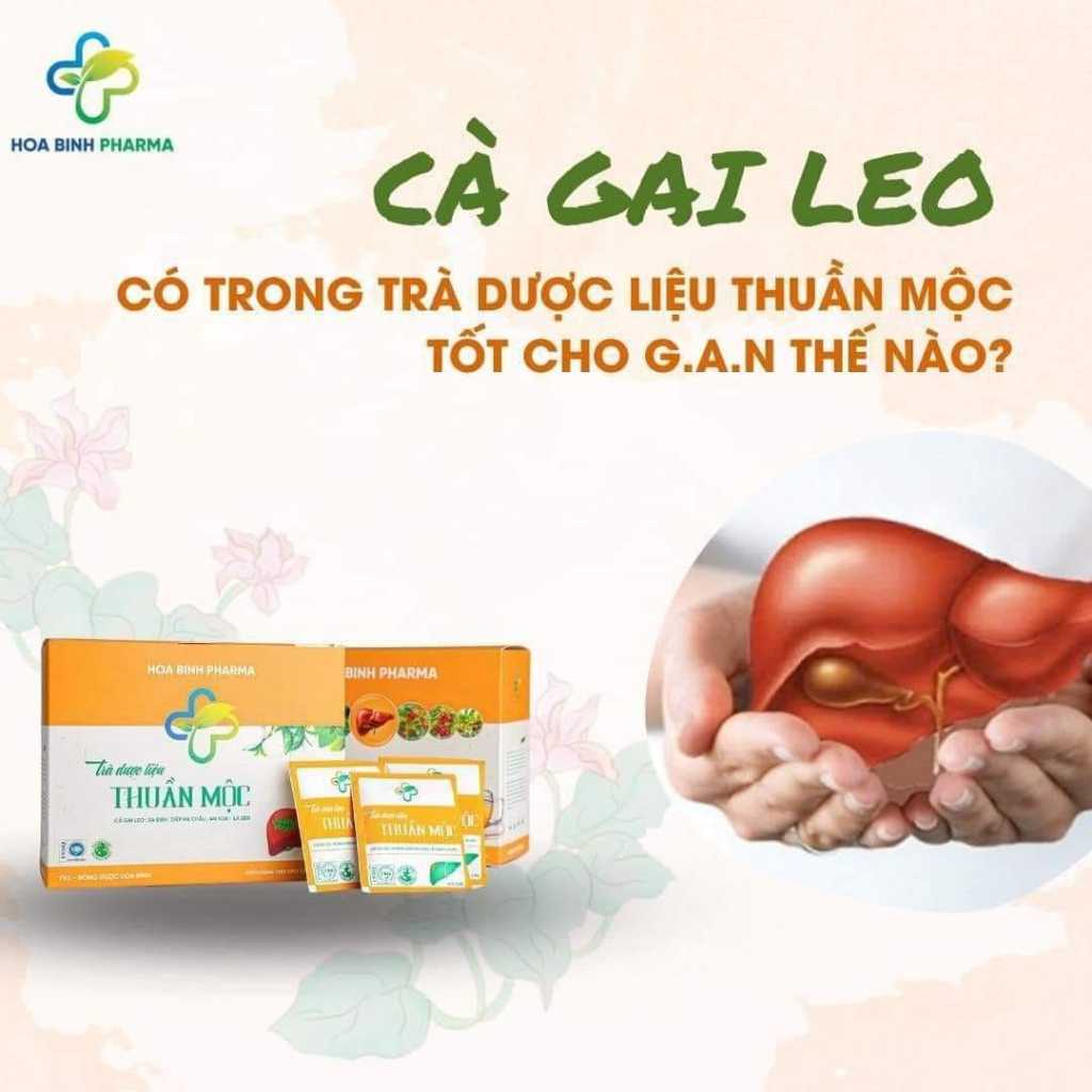 Trà Thảo Dược Thuần Mộc, Giải Nhiệt Thanh Lọc Gan, Cải Thiện Chức Năng Gan, Hạ Men Gan, Gan Nhiễm Mỡ