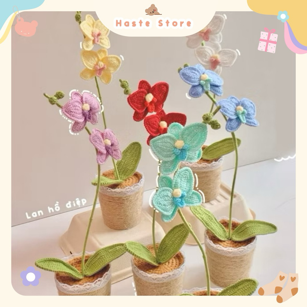 Chậu Hoa Len Lan Hồ Điệp Chất Len Dệt Sợi Nhỏ Để Bàn Trang Trí Bàn Làm Việc Bàn Học Dễ Thương Handmade Made by Haste