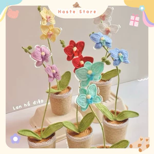 Chậu Hoa Len Lan Hồ Điệp Chất Len Dệt Sợi Nhỏ Để Bàn Trang Trí Bàn Làm Việc Bàn Học Dễ Thương Handmade Made by Haste