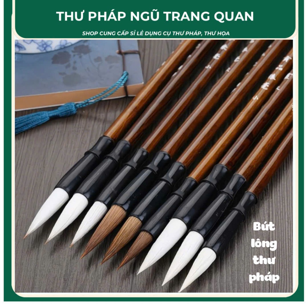 Bộ bút lông thư pháp cho người mới bắt đầu viết thư pháp và vẽ tranh thuỷ măc. Bút lông sói và lông khiêm hào giá rẻ