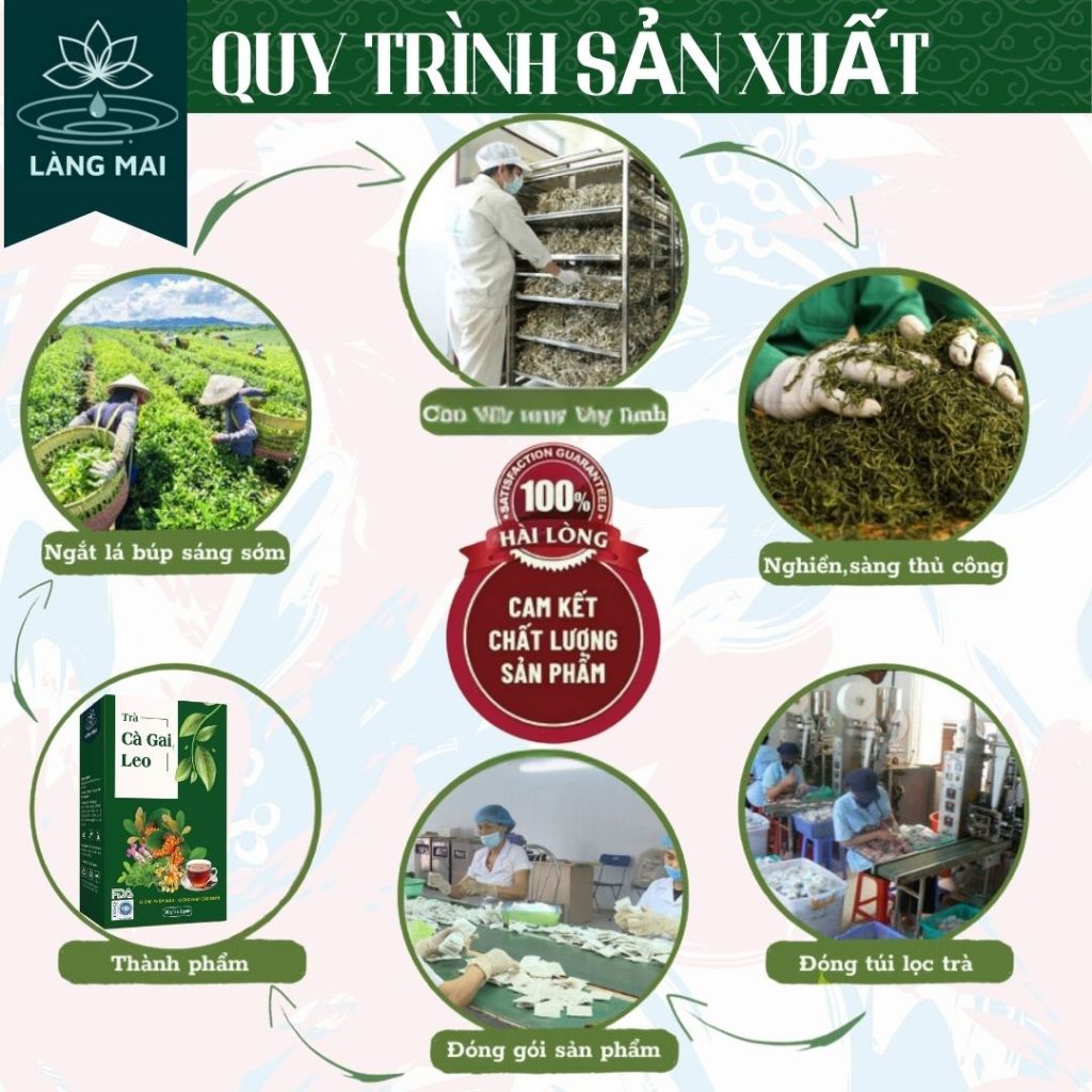 Trà Cà Gai Leo - Làng Mai - 4 vị Thảo Dược. Làm Mát Gan, sạch mụn, da sáng, Dạng Túi Lọc Tiện Lợi Dễ Uống