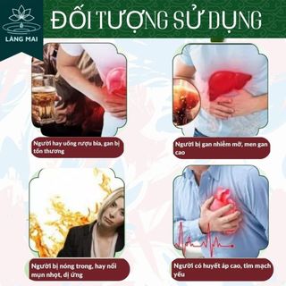 Trà Cà Gai Leo - Làng Mai - 4 vị Thảo Dược. Làm Mát Gan, sạch mụn, da sáng, Dạng Túi Lọc Tiện Lợi Dễ Uống. Hộp 30 gói
