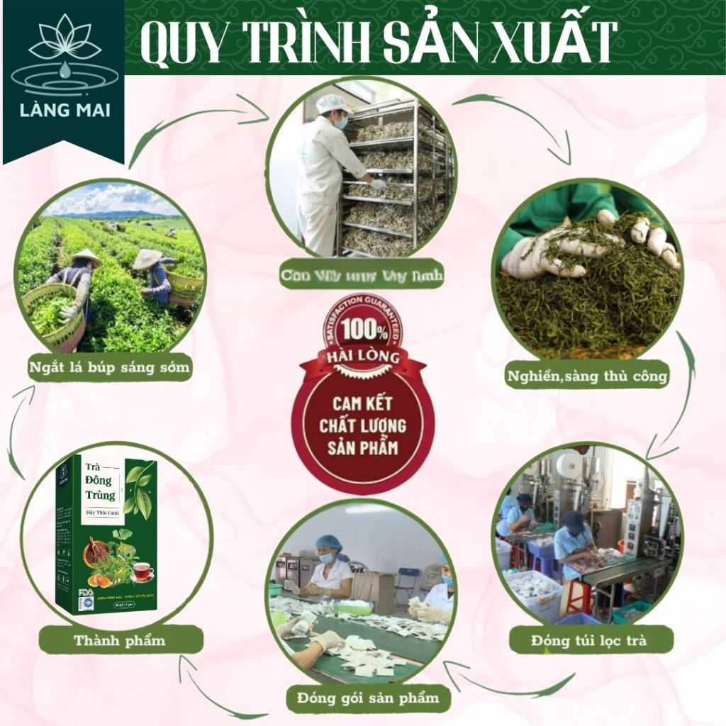 Trà Đông Trùng Dây Thìa Canh - Làng Mai - 7 Vị Thảo Dược Giúp Ổn Định Đường Huyết, An Toàn Lành Tính