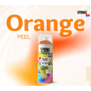 Sơn Xịt Tạo Màu Cho Hoa Tươi, Hoa Khô SPRING Pro Florist 400ml – Nhập Khẩu Chính Hãng Hà Lan