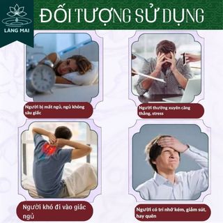 Trà Ngủ Ngon Đinh Lăng Tam Thất - Làng Mai - Mất Ngủ, Giúp Ngủ Ngon, Dễ Ngủ, Đẹp Da. Hộp 30 gói