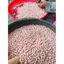 Lạc nguyên củ đã được phơi khô, lạc sống