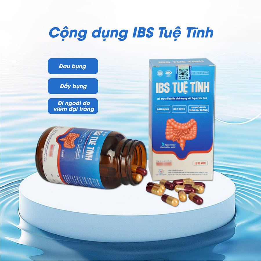 Viên uống đại tràng IBS Tuệ Tĩnh, hỗ trợ tình trạng đau bụng, đầy bụng, viêm đại tràng, HCRKT