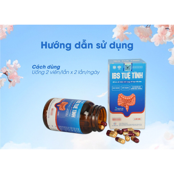 Viên uống đại tràng IBS Tuệ Tĩnh, hỗ trợ tình trạng đau bụng, đầy bụng, viêm đại tràng, HCRKT