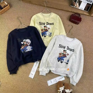 Áo Nỉ Nữ Sweter Chui Đầu Họa Tiết Cute Form Rộng QCCC Cao Cấp