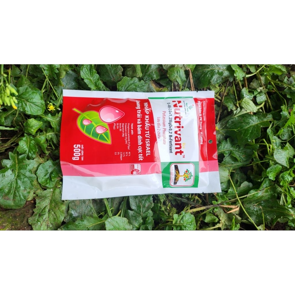 Phân bón lá NUTRIVANT RICE Israel 🇮🇱 – Lưu dẫn 2 chiều, bám dính cực tốt – Kích rễ, dưỡng hoa, chắc hạt, đẹp trái 🍅🌿