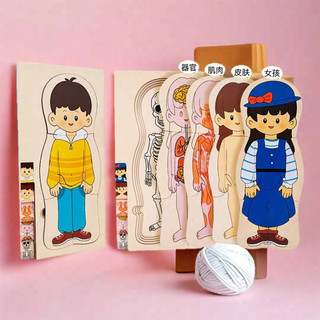 Đồ Chơi Lắp Ráp Giải Phẫu Cơ Thể Người Bằng Gỗ - Mô Hình Giáo Dục Sớm Cho Trẻ Em