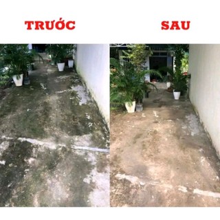 Combo 2 túi bột tẩy rong rêu 500g/túi, ( tổng 1kg) sạch nấm móc sân nhà