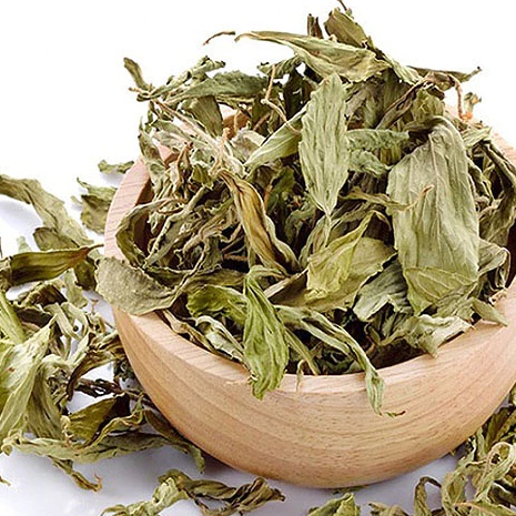 Cỏ Ngọt Nguyên Lá Jindo – Ngọt Thanh Tự Nhiên, Không Đường, Phù Hợp Người Tiểu Đường
