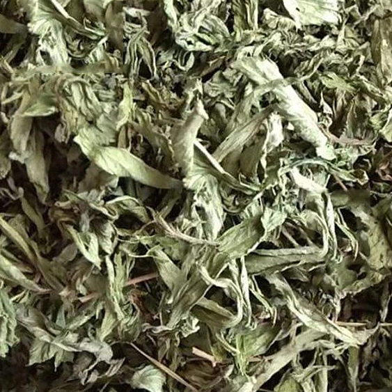 Cỏ Ngọt Nguyên Lá Jindo – Ngọt Thanh Tự Nhiên, Không Đường, Phù Hợp Người Tiểu Đường