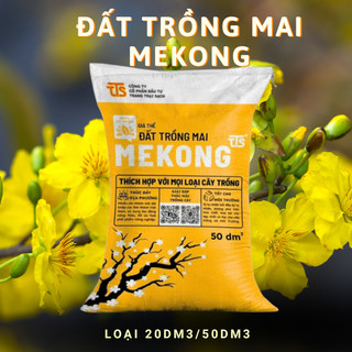 Đất Trồng Mai Loại 50dm3 Giàu Dinh Dưỡng Giá Thể Trồng Cây Cho Cây Mai Kiểng Gỗ