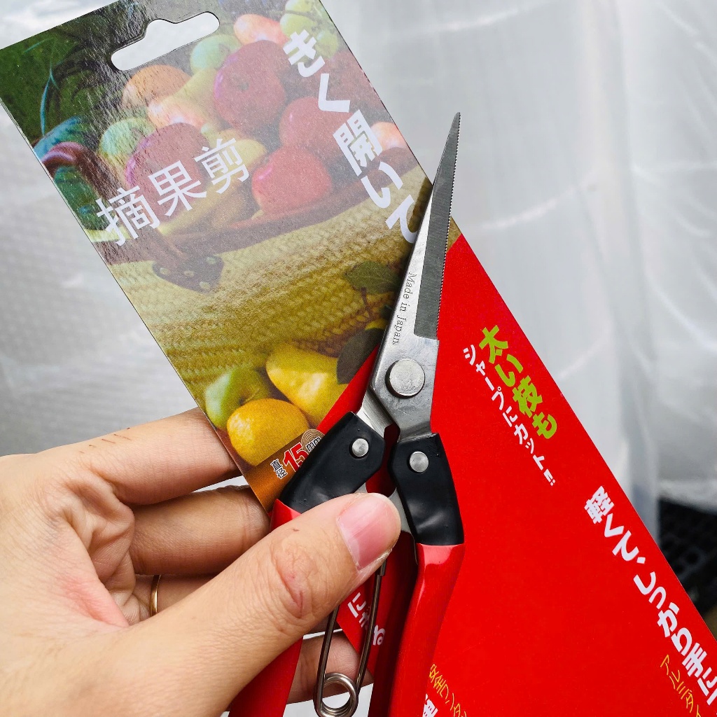 [COMBO 3 Chiếc] Kéo tỉa cành dăm thép trắng cho cây cảnh, cây bonsai - Kéo tỉa dăm tay đỏ