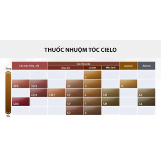 Thuốc Nhuộm Tóc Cielo Ex Cream Nhật Bản Phủ Bạc Tốt Dưỡng Tóc Giữ Màu Tốt Chiết Xuất Thảo Duọc SK05