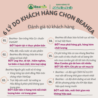 Tinh Bột Củ Sen Mix Hạt Cao Cấp Tự Chọn | Sen Sạch VietGAP - Hạt Rang Sấy Thơm Bùi