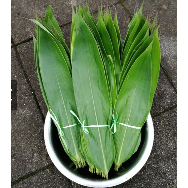 Lá tre tươi set 50 lá | Shopee Việt Nam