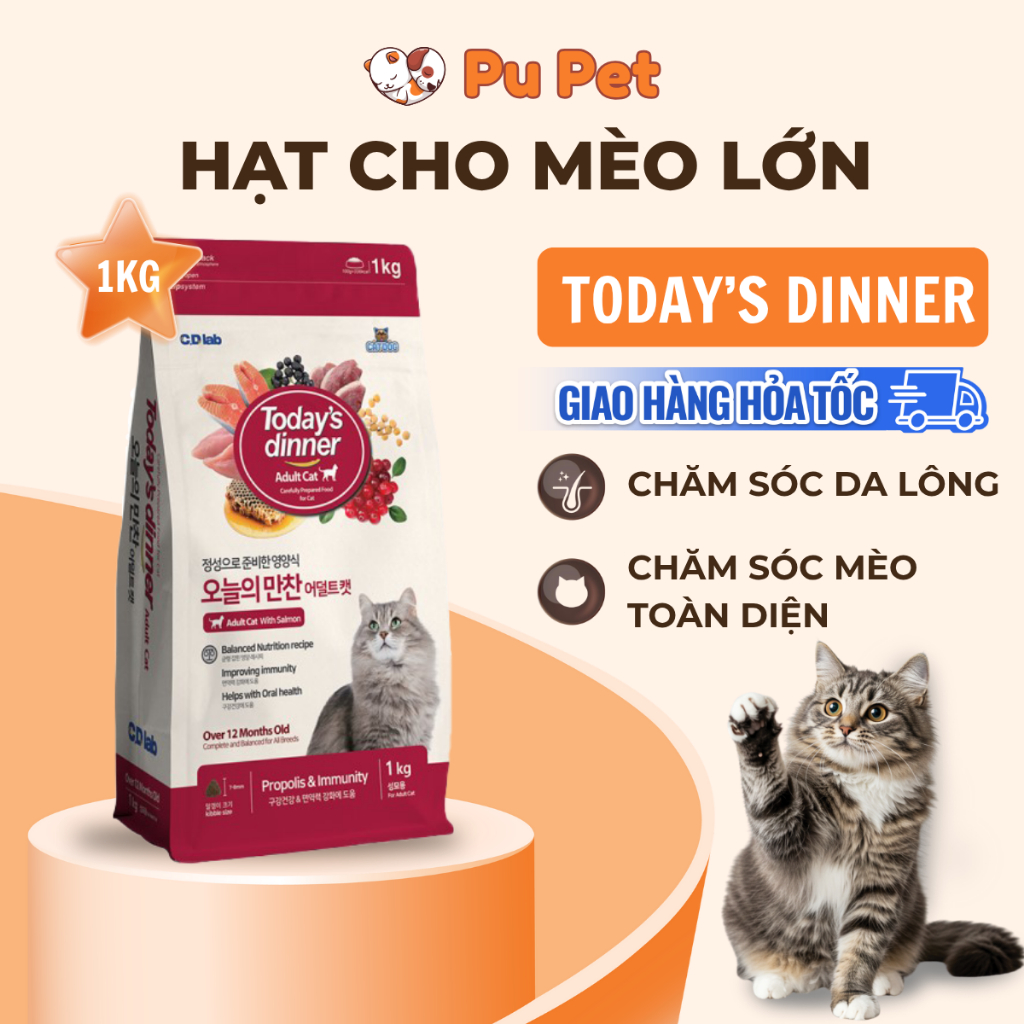 Thức ăn hạt Today's dinner cân bằng dinh dưỡng, chăm sóc toàn diện cho mèo lớn, gói 1KG