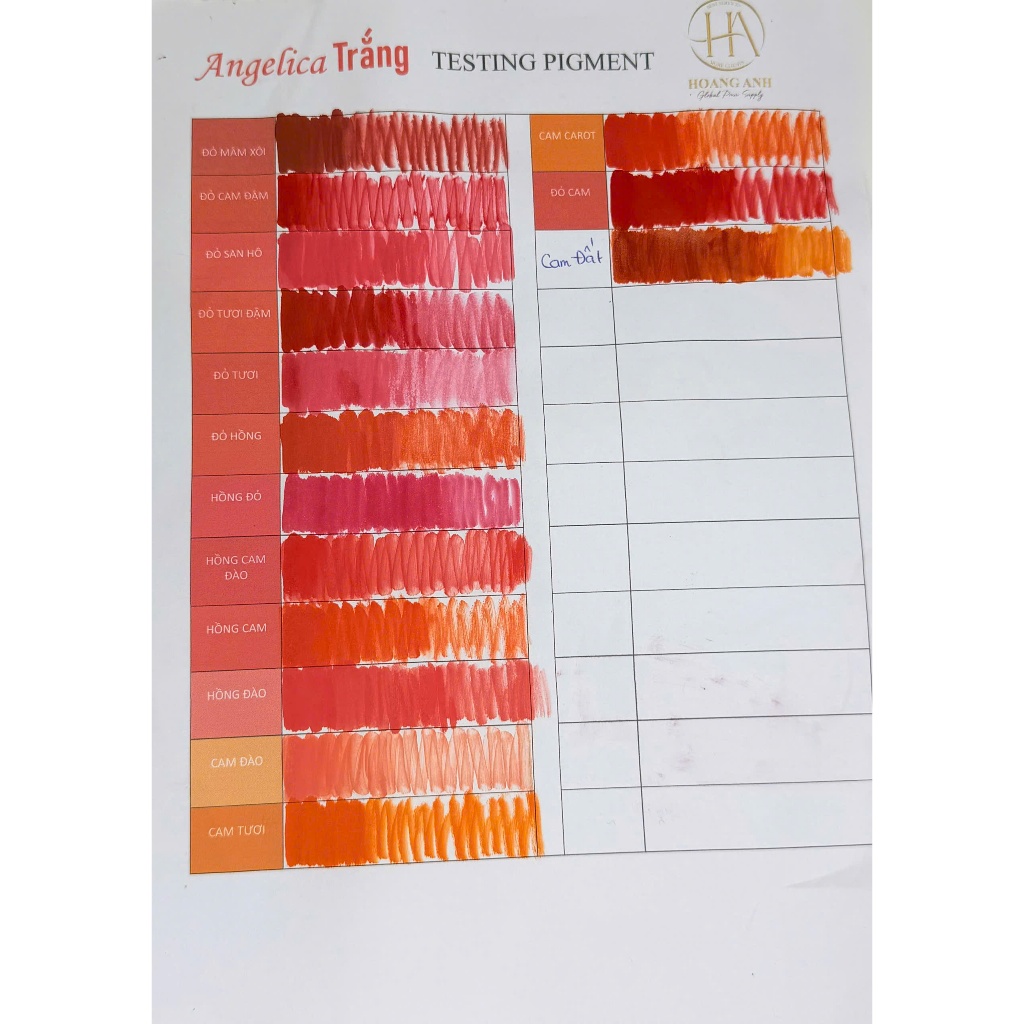 Mực Angelica Tem Trắng – Mực Phun Xăm Cao Cấp, Bong Đậm Đẹp, Giữ Màu Tự Nhiên Lâu Dài