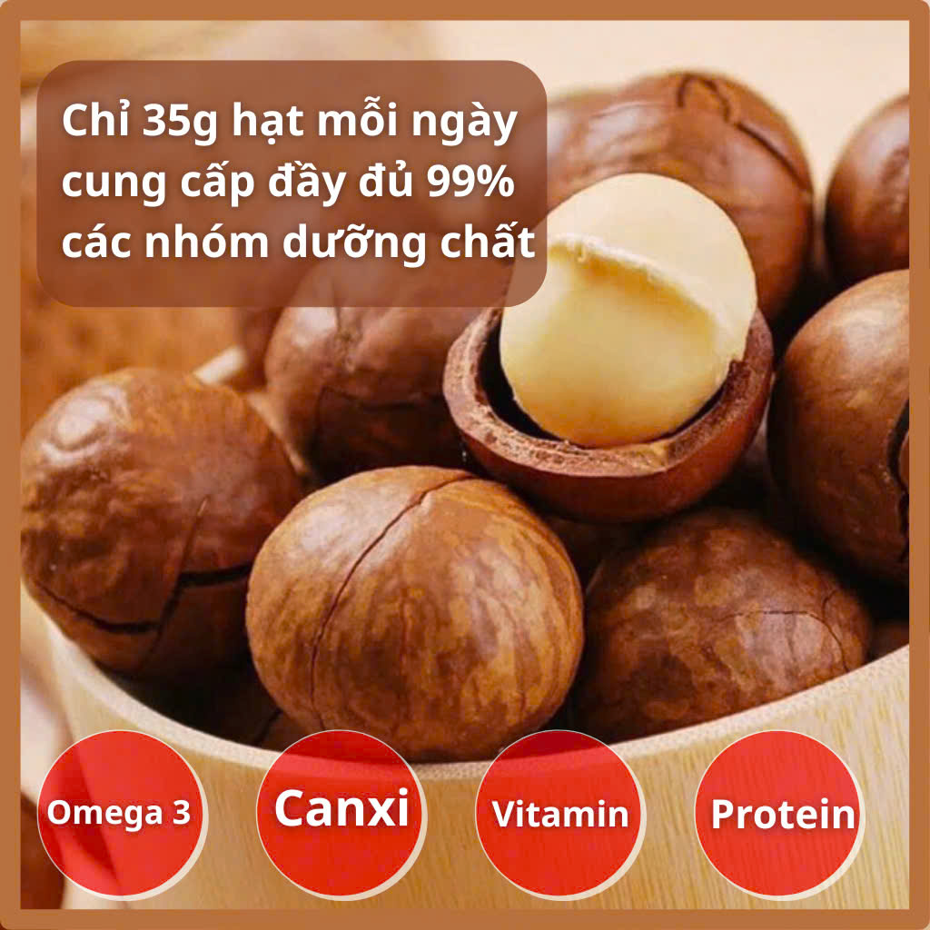 Hạt macca sấy nứt vỏ HTC Food, mắc ca Daklak loại 1, ngũ cốc dinh dưỡng cho mẹ bầu, ăn kiêng, 500g