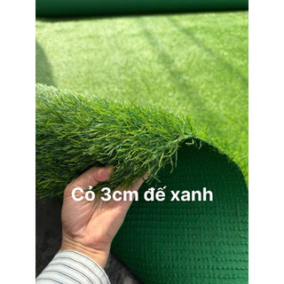 Combo 10m2 2m*5m Thảm Cỏ 3cm Đế Xanh Trải Sân Vườn Trường Học Bền Đẹp Chất Lượng Cao