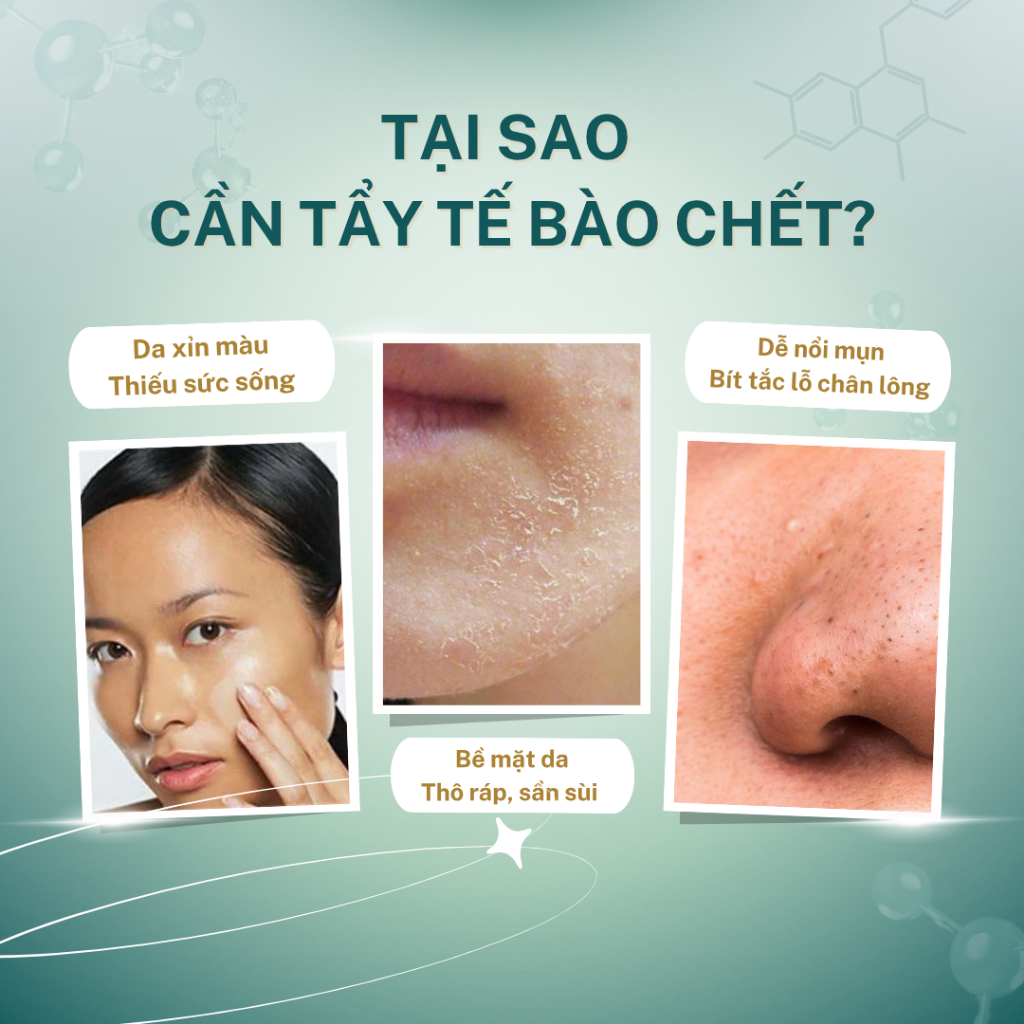 Tẩy Tế Bào Chết Celline Exfoliating Cream Srcub vật lý Cho Da Mặt 50g - Skincare Làm Đẹp Da