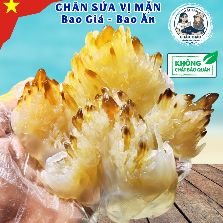 Chân Sứa Biển Khô 1KG SỨA CHÂN Loại Mặn – Sứa Cà Tắc Mắm Nhỉ, Sốt Thái – Chân sứa ăn liền sau xả mặn