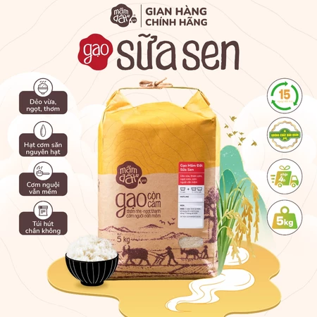 Gạo Sữa Sen, Mầm Đất Thượng Hạng Túi 5kg - Cơm Dẻo Vừa, Đậm Đà Vị Lúa Sữa