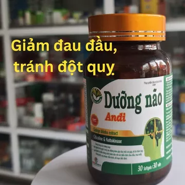 Phòng Đột Quỵ, Giảm Đau Đầu, Hoa Mắt! Viên Uống Hỗ Trợ Tuần Hoàn Máu, Hoạt Huyết Dưỡng Não ANDI Chính Hãng ✨1 lọ 30 viên